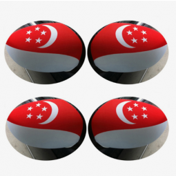 Wholesale car side mirror Singapore flag sock