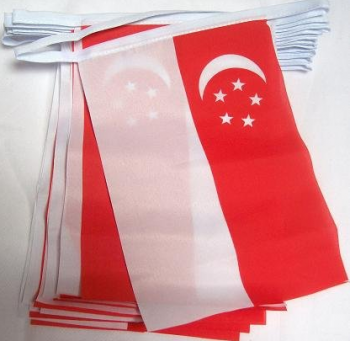 국경일 장식 매달려 싱가포르 문자열 플래그