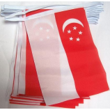 decorazione della festa nazionale che appende la bandiera della stringa di Singapore