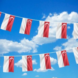 Sports Events Singapore Polyester Country String Flag