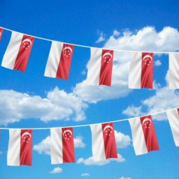 sportevenementen singapore polyester land string vlag