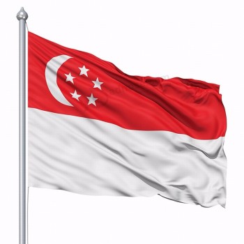 Farbenfrohe Werbeflaggen für Singapur im Freien