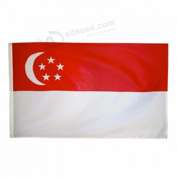 デジタル印刷された国のシンガポールの旗