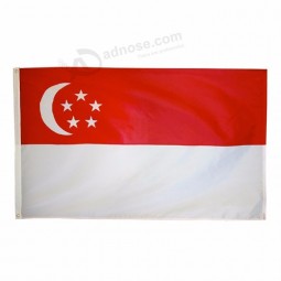 Digital Printed National Country Singapore Flags