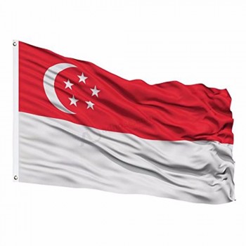 싱가포르 깃발 깃발 폴리 에스테 주문 깃발