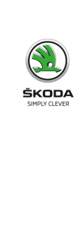 Drapeau skoda haut de gamme de vente chaude avec n’importe quelle taille