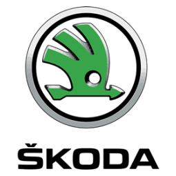 판매를위한 주문 고품질 skoda 깃발