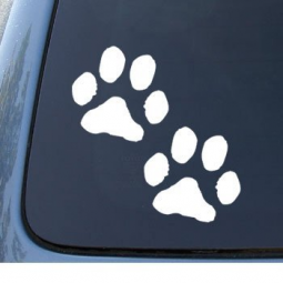 Etiqueta autoadesiva do vinil do decalque decorativo do carro ecológico para o carro