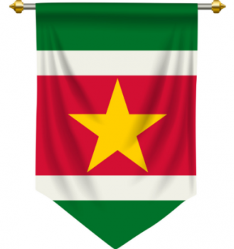 Indoor decorative polyester Suriname pennant flag custom
