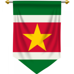 Indoor dekorative Polyester Suriname Wimpel Flagge benutzerdefinierte