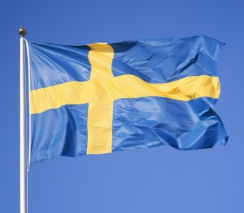 고품질 주문 폴리 에스테 스웨덴 3 * 5ft 깃발