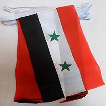 Banderines de bandera del empavesado del país sirio para celebración