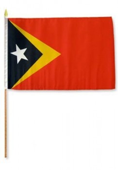 timor est (timor est) 12x18in bandiera stick