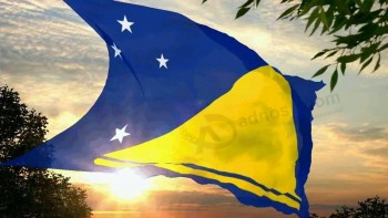 Manufacturers wholesale good quality Tokelau Flag with cheap price