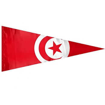 印刷された国の三角形のチュニジアの旗布の旗
