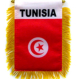 Polyester Tunesien nationalen Auto hängenden Spiegel Flagge