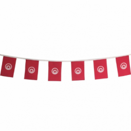Abastecimento de fábrica Tunísia País Bandeira de estamenha