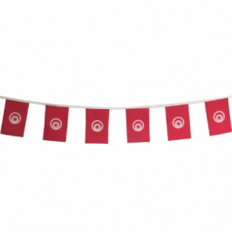 Factory Supply Tunisia Country Hanging Bunting Flag Banner