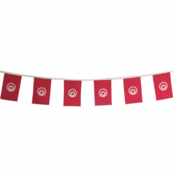 Factory Supply Tunisia Country Hanging Bunting Flag Banner