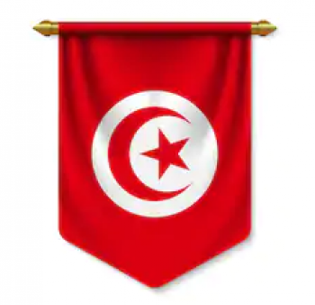 bandiera gagliardetto tunisia di alta qualità da parete