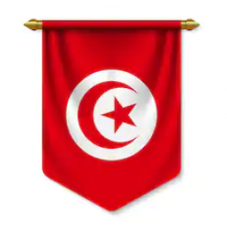 hochwertige wandbehang tunesien wimpel flagge