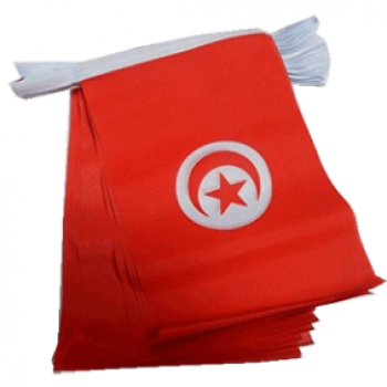 Túnez Bunting banner club de fútbol Túnez bandera nacional de cuerda
