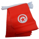 Tunesië bunting banner voetbalclub Tunesië nationale tekenreeks vlag
