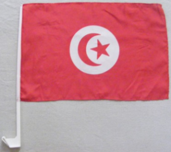 플라스틱 극을 가진 뜨개질을 한 폴리 에스테 튀니지 국가 차 깃발