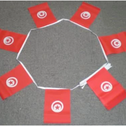 promoción deportiva de fútbol 75D poliéster mini Túnez bandera del empavesado
