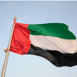 De Verenigde Arabische Emiraten vlag VAE vlag wereld vlag
