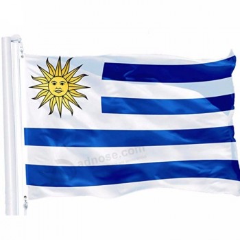gedrukte reclamestandaard nationale vlag van hoge kwaliteit veiligheid argentinië