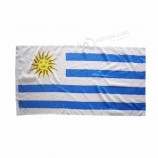 billige jubelnde Uruguay Nationalflagge