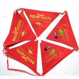 plastic banner triangle pvc bunting flag