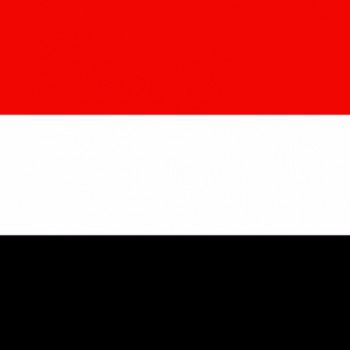 Custom promo Polyester printing syrian yemen national country flag with pole