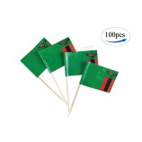 Sambia Flagge Sambianische Flaggen, 100 Stück Cupcake Topper Flagge, Land Zahnstocher Flagge, kleine Mini Stick Flaggen
