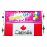 Seja o fã número 1 apoiar o seu ídolo bandeira bandeira esportes fã PE mão bandeira bandeira
