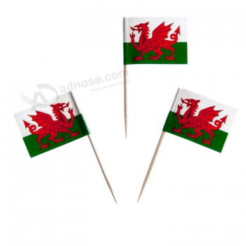 Gâteau chaud fans de sport mini drapeau cure-dent