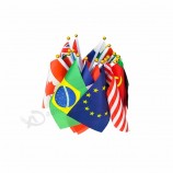 aangepaste verkiezingscampagne bevorderen nationale kleine vlag