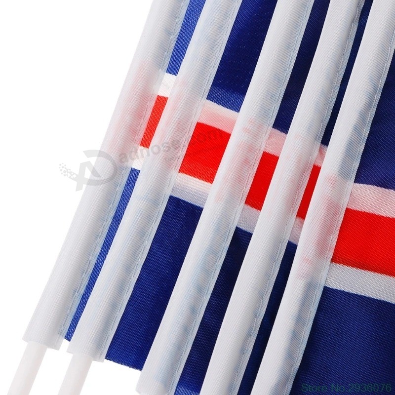 Bandiera nazionale della mano d'ondeggiamento di elezione di pubblicità per la promozione