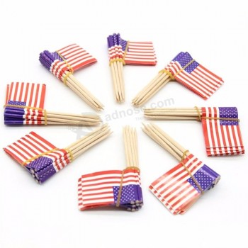 Colorful Party& Bar Decoration US Food Flag Toothpicks Country Flag