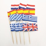 picks de la bandera palillo de dientes de la bandera nacional del país