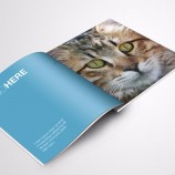 Impression de magazines en couleur avec prix d’usine