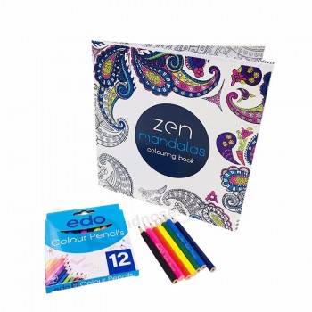 Impression de livre de coloriage personnalisé éducatif de haute qualité Saddle Stitch livre pour enfants