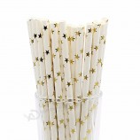 Food Grade BPA Free biodegradable wholesale paper straw