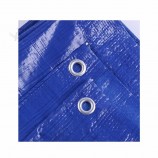 Feuille de bâche bleue en plastique de haute qualité de l’usine chinoise avec toutes les spécifications