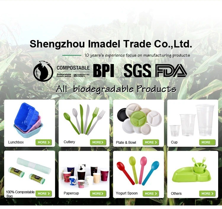 Las mejores pajitas de papel PLA compostable Biodegradable Straw