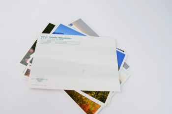 사용자 정의 4 색 엽서 감사 카드 인쇄 서비스
