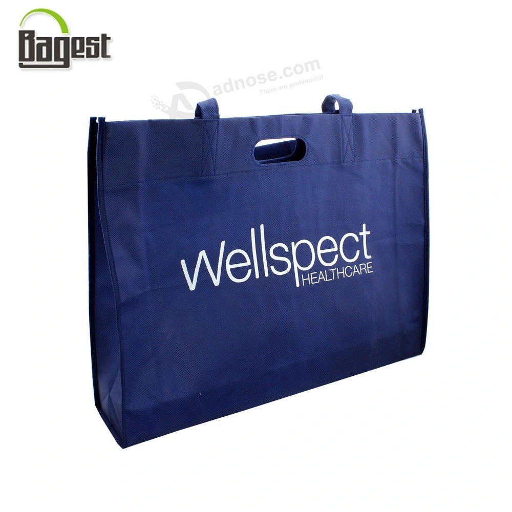 100/120/140/GSM cheap Printed promotional Gift shopping Tote PP/TNT/PLA/Bamboo Non woven Bag