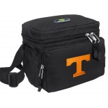 Non-tissé / polyester Alimentaire personnalisé Portable Pliant Pique-Sac isotherme à déjeuner