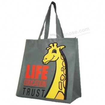 Stand up Custom Printed Loop Handle Non-Woven Bags (FLN-9005)